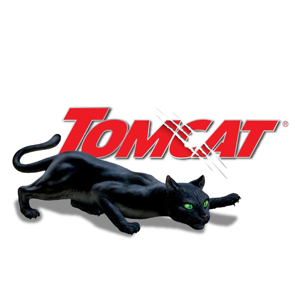 tom2.jpg